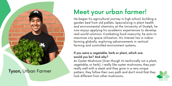 Your+urban+farmer+-+Tyson-1